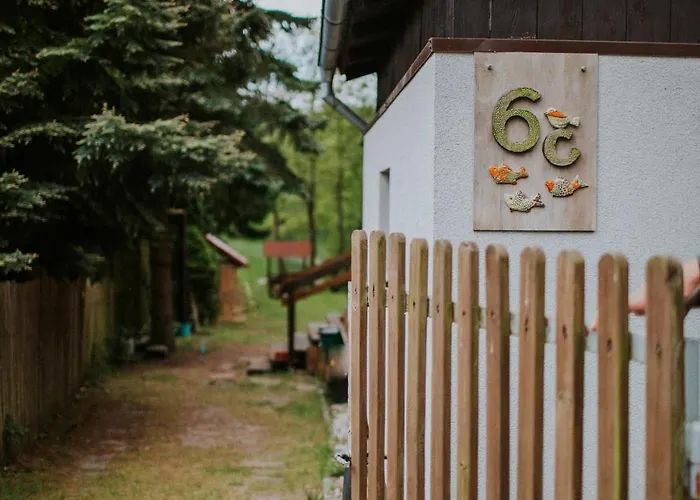 Nad Jeziorem Parzenskim *