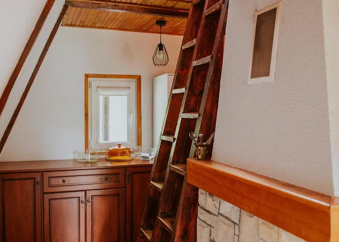 Nad Jeziorem Parzenskim *